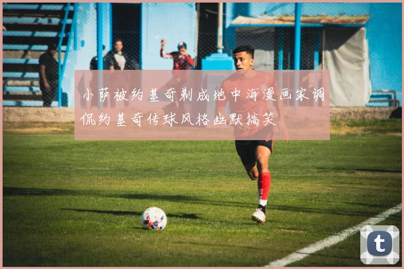 小萨被约基奇剃成地中海漫画家调侃约基奇传球风格幽默搞笑