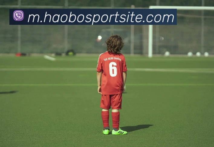 好博体育服务体系